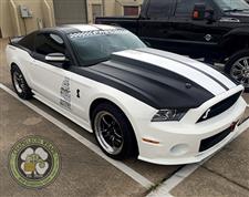 White_Mustang_2.jpg