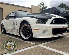 White_Mustang_6.jpg